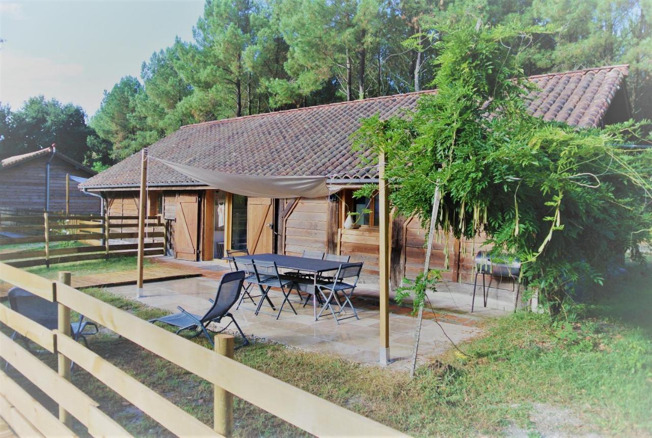 Les Gites Du Grand Chene Saint-Paul-en-Born Exterior photo